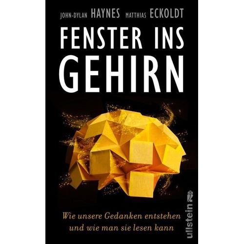 Fenster ins Gehirn – John-Dylan Haynes, Matthias Eckoldt