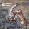 Wildlife Photographer of the Year: Portfolio 29 - Rosamund Kidman Herausgeber: Cox