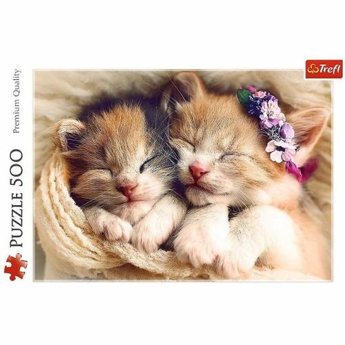 Schlafende Katzen (Puzzle) - Trefl