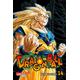 Dragon Ball Massiv / Dragon Ball Massiv Bd.14 - Akira Toriyama