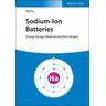 Sodium-Ion Batteries - Yan Yu
