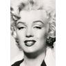 Silver Marilyn. Marilyn Monroe und die Kamera - Marilyn Monroe