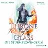 Die Sturmbezwingerin / Throne of Glass Bd.5 (4 MP3-CDs) - Sarah J. Maas