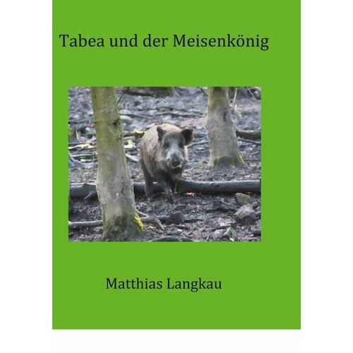 Tabea und der Meisenkönig – Matthias Langkau