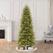 The Holiday Aisle® Gular 7' 6" H Slender Green Fir Christmas Tree w/ 500 LED Lights in Green/White | 10 D in | Wayfair