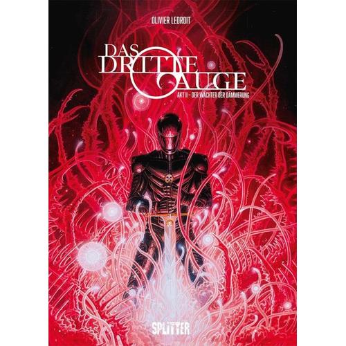 Das dritte Auge. Band 2 – Olivier Ledroit