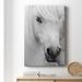 Gracie Oaks Island Pony I Premium Gallery Wrapped Canvas - Ready To Hang Metal in Black/Gray/White | 48 H x 32 W x 1 D in | Wayfair