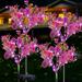 SolarEra Solar Lights Outdoor Waterproof 22.4Inch Height Upgraded Solar Phalaenopsis Lights LED Solar Flower Stake Lights for 4th of July Decorations 4Pcs Purple