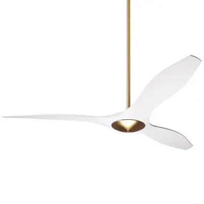 Modern Fan Company IC/Brisa DC Ceiling Fan