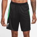 Men's Nike Black Liverpool 2023/24 Strike Performance Shorts