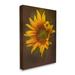 Stupell Industries Au-735-Canvas Modern Detailed Sunflower Petals On Canvas by Kelley Parker Painting Canvas in Brown/Green/Yellow | Wayfair