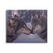 Stupell Industries Au-867-Canvas Wolves Touching Noses Nature On Canvas by Daniel Smith Painting Canvas in Brown/Gray | Wayfair au-867_cn_16x20