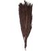 Primrue Palm Floral Arrangement | 43.31 H x 3.94 W x 0.59 D in | Wayfair AC59F3ECB7FC482C89E1A56F7E081DA4