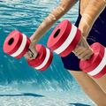 Sehao Swimming One Pair Barbells Exercise Dumbbells Hand Water Dumbbells Eva Dumbbells Floating On Water Circular Buoyancy Dumbbells beach stuff Red