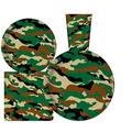 Serves 30 | Complete Party Pack | Camouflage Party Supplies | 9" Dinner Paper Plates | 7" Dessert Paper Plates | 12 oz Cups | 3 Ply Napkins | Camouflage Themed Birthday Party Supplies