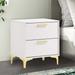 Lif 25 Inch Modern 2 Drawer Nightstand, Gold Metal Accents, Pure White