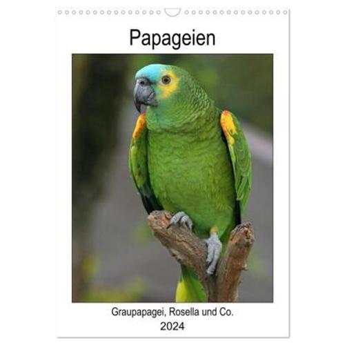 Papageien - Graupapagei, Rosella Und Co. (Wandkalender 2024 Din A3 Hoch), Calvendo Monatskalender