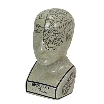 Aa Importing 59898 Small Phrenology Head - 9.5 X 4.5 X 5 inches