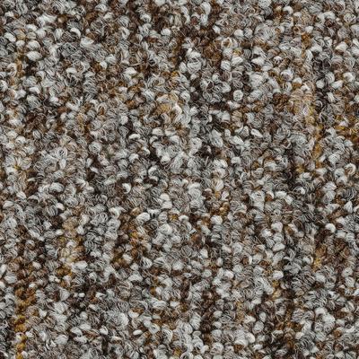 Teppichboden BODENMEISTER "Heilbronn, Schlinge - meliert", braun (braun grau), B:200cm H:7,2mm L:200cm, Polyamid, Teppiche, Wohnzimmer, Kinderzimmer, Schlafzimmer, Breite 200/300/400/500 cm Image