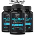 Destroy itea Collagen Complex (Type I II III V & X) -Cheveux Peau N64. Santé des