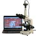 AmScope 40X-2000X 3W LED Siedentopf Trinocular Compound Microscope + 10MP USB Camera New