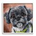 Stupell Industries Black Shih Tzu Dog Portrait Framed On Wood by Lindsay Kivi Fine Art Painting Wood in Brown/Gray | 24 H x 24 W x 1.5 D in | Wayfair