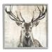 Stupell Industries Rustic Deer Elk Wildlife Portrait Framed On Wood by Liz Jardine Graphic Art Wood in Brown/Gray | 12 H x 12 W x 1.5 D in | Wayfair