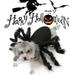 Shldybc Spider Wing Clothes for Puppies Cats Halloween Pet Cat Dog Costumes Cute Dress Dog Birthday Party Supplies Pet Clothes on Clearance