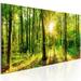 Loon Peak® Wareham Magic On Canvas Print Canvas in Green | 18 H x 53 W x 0.7 D in | Wayfair BD015F0C0FDB463885D39CEE9A5DA097