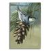 Epic Art Pine Cone Perch - White-breasted Nuthatch by Mark Mueller Wildlife Art Acrylic Glass Wall Art 16 x24