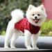 Goory Sweater Two-legged Pullover Solid Color Teddy Thickened Jumper Pet Supplies Autumn Soft Warm Fashion Clothing Red S