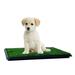 Petmaker Reusable 3-Layer Artificial Grass Puppy Dog Pee Pad with Tray Set - Small 16x20