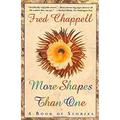 More Shape Than One : A Book of Stories 9780312082659 Used / Pre-owned