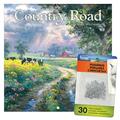 Trends International 2024 Country Road by Abraham Hunter Mini Wall Calendar & Push Pins & Push Pins