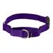 PetSafe Martingale Collar with Quick Snap Buckle