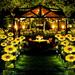Venoro 1-8 Pack LED Solar Sunflower Lights Outdoor Garden Stake Landscape Decor Lamp