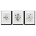 Red Barrel Studio® 3 Piece Wrapped Canvas & Framed Print Set - Blue Spiderwort by Maple + Oak Canvas | 20 H x 16 W x 0 D in | Wayfair