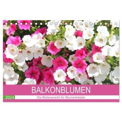 Balkonblumen. Die Blütenpracht Für Blumenkästen (Tischkalender 2024 Din A5 Quer), Calvendo Monatskalender