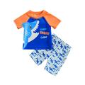 Cathery Kids Baby Boys 2 Piece Swimsuits Rash Guard Swimwear Short Sleeve Shark Print Tops Rash Guard Shorts Set Blue 4-5 Years