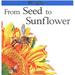 Pre-Owned From Seed to Sunflower (Lifecycles) Paperback