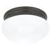 Generation Lighting Webster 2 Light 10" Wide Flush Mount Bowl Ceiling