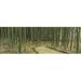 Panoramic Images Bamboo trees on both sides of a path Kyoto Japan Poster Print by Panoramic Images - 36 x 12