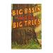 Santa Cruz California Big Trees Park Big Basin Letters Vintage Poster Birch Wood Wall Sign (6x9 Rustic Home Decor Ready to Hang Art)