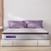 Queen Medium 12" Memory Foam Mattress - Alwyn Home Martelle | 80 H x 60 W 12 D in Wayfair BFC173AB9E5246D2961BB4595D4D3290