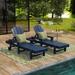 Polytrends Laguna All Weather Poly Pool Outdoor Chaise Lounge - with Arms and Wheels (Set of 2)