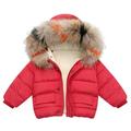 Edvintorg Baby Boys Winter Down Jackets & Coats Kids Zipper Sport Jackets Fashion Solid Thick Hoodie Pockets Warm Jacket Boy Girls Coat Kids Outerwear 6M-5Y