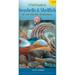 Pre-Owned A Field Guide to Seashells and Shellfish of the Pacific Northwest (Field Guide To... (Harbour Publishing)) Paperback