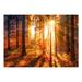 Loon Peak® Eulus Trees in Evening Sun Wall Mural Vinyl | 173 W in | Wayfair 90C21CAC9A0F42A98EC7262E16724B16