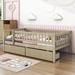 Red Barrel Studio® Rowanne Wooden Daybed Wood Bed w/ Two Drawers & Fence Wood in Brown | 28 H x 42 W x 79 D in | Wayfair