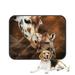 ECZJNT Giraffe Adult And Baby Painting Pet Dog Cat Bed Pee Pads Mat Cushion Potty Dogs Blankets Crate Bed Kennel 28x36 inch